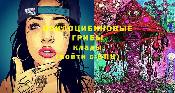бошки Абаза
