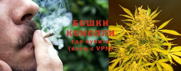 шишки Михайловск