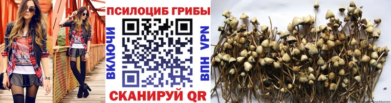 купить наркоту Полярный Псилоцибиновые грибы прущие грибы